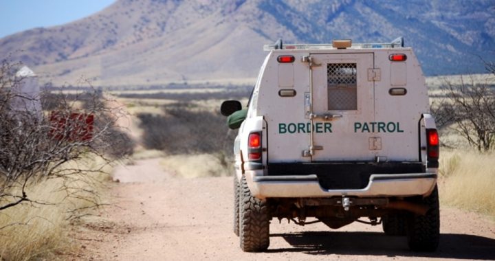 Border Agents Apprehend More Felons, Gang Members, Sex Criminals Included