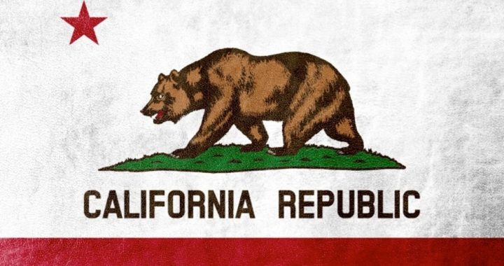California 2020 Democratic Presidential Primary to Include Independents