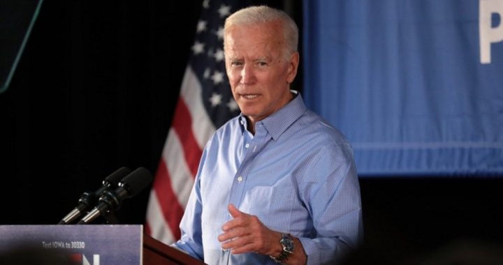 Biden Maintains RCP Lead Over Warren, But She Leads in N.H., Iowa Polls