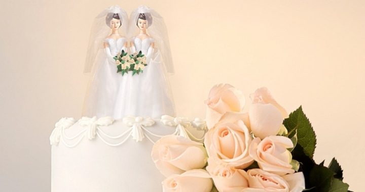 Lesbian “Marries” Partner, Sues Seminary for Expelling Her