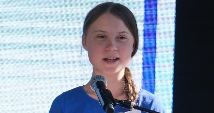 Greta Thunberg Admits: “Climate Crisis Is Not Just About the Environment”