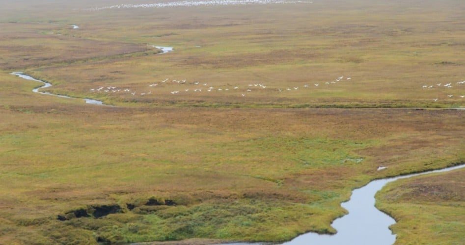 Goldman Sachs Cuts Funding for ANWR Energy Exploration, Citing Environmental Concerns