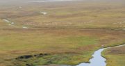 Goldman Sachs Cuts Funding for ANWR Energy Exploration, Citing Environmental Concerns