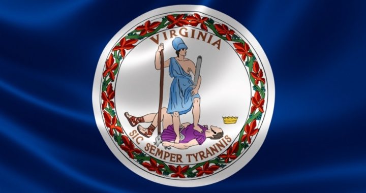 Militia Rises in Virginia to Fight State’s Anti-gun Tyranny