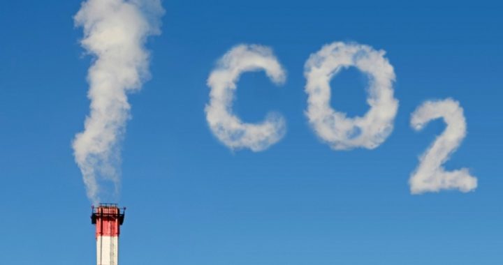 United States Leads the World in Cutting CO2 Emissions