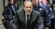 Weinstein Sent More Money to Clinton Than Any Other Democrat