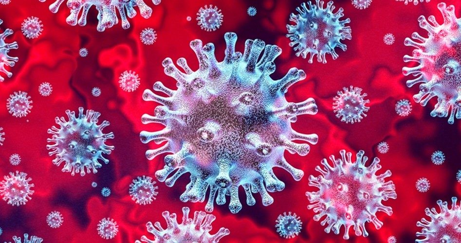 COVID 19: Is the Response Proportional to the Virus?