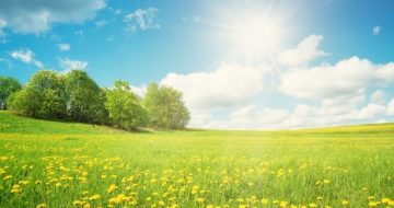 Sunshine Increases Vitamin D and May Build Resistance to Coronavirus