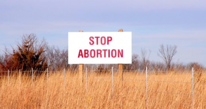 Doctors, Residents Sue Minnesota for Allowing Elective Abortions During Pandemic