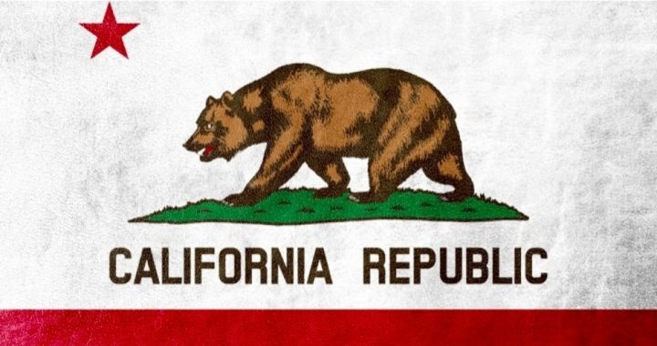 Despite Newsom’s Shutdown Order, Three California Counties Are Reopening