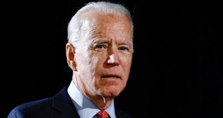 Biden Concedes Domestic Policy to Sanders, Forms Task Forces Packed With Radicals