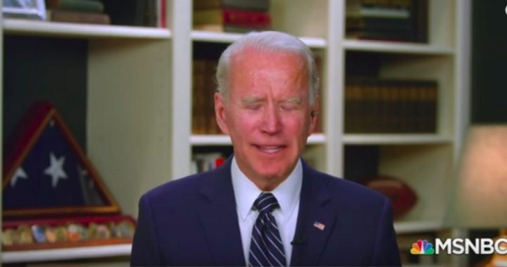 Did Biden Wreck His Campaign When He Told Voters Not To Vote for Him?