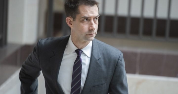 NY Times Staff Outraged Over Senator Tom Cotton Op-ed Supporting Trump