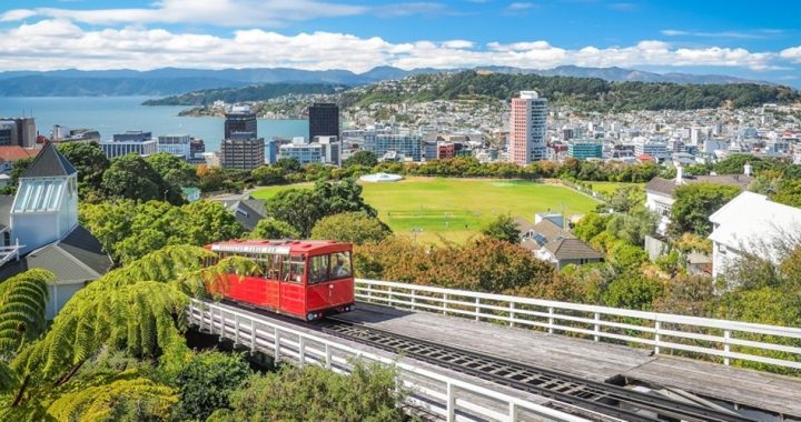 New Zealand Declares Itself Free of COVID-19; Lifts Almost All Restrictions