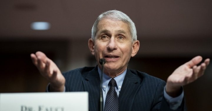 Does Fauci Oppose Mask Studies Because He Knows What They’ll Find?