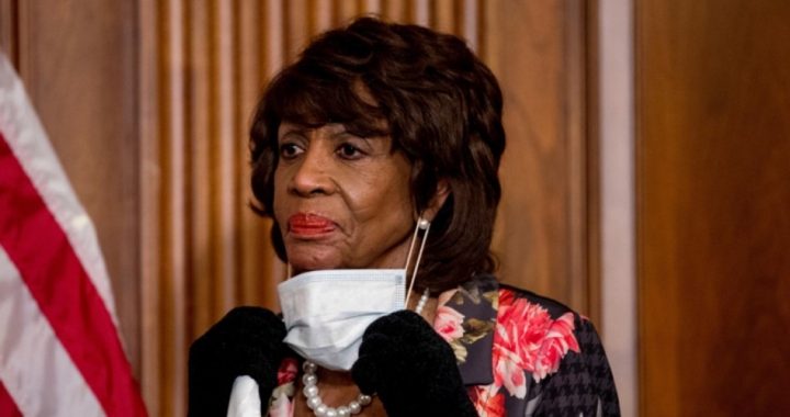 Projection? Maxine Waters Says Trump Wants Civil War if Not Re-elected