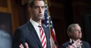 Tom Cotton: No Federal Funds for Teaching America Was Founded on Slavery