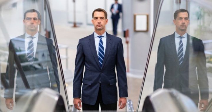 Sen. Cotton to Google: Explain Election Interference, Conservative Blacklist in Search Results