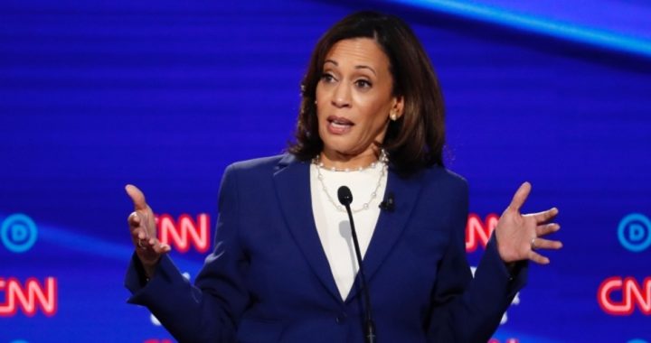 Biden Veep Pick Harris All But Called Him a Racist, Believed Women Who Say He Molested Them