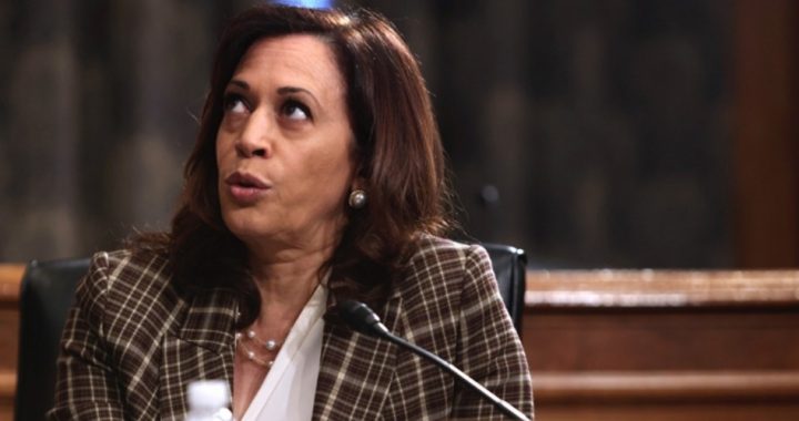 Veep Pick Harris Has a History of Lies and Distortions
