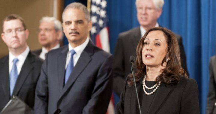 Kamala Harris Is Not Qualified to Be (Vice) President