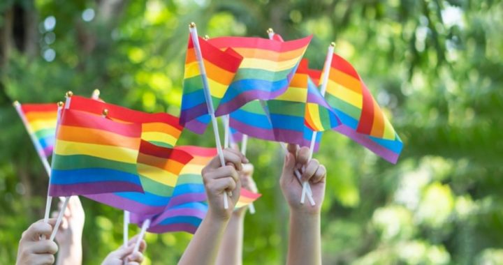 Teacher Recruits “Most Emotionally Unstable” Kids for LGBT Club