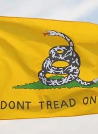 Gadsden Flags and License Plates
