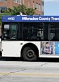 Milwaukee Man Fined for Cursing on Bus