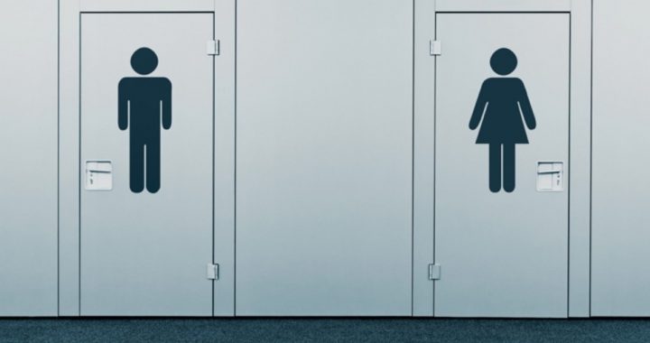 What You’ll Also Get if Dems Win Election: Men in Women’s Sports and Bathrooms