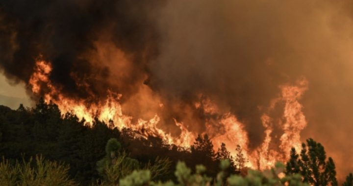 Here We Go Again: Leftist Eco Policies, Not ‘Climate Change’ Causing Western Wildfires
