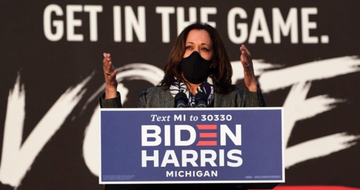 Harris Still Raising Money To Bail Out Domestic Abusers, Rape and Murder Suspects