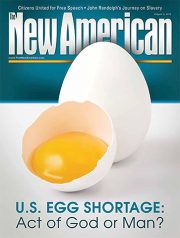 U.S. Egg Shortage: Act of God or Man?