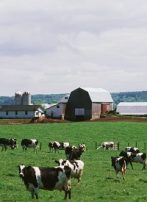 Bill Would Give Feds Control Over Family Farms
