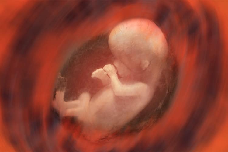 Texas Governor Abbott Signs Bill That Would Ban Almost All Abortions in the State - The New American