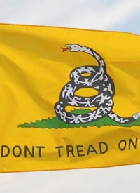Gatsonflag Sign Gadsden Flags and License Plates - The New American