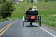 Lockdown Folly? Lockdown-averse Amish May Now Have Covid Herd Immunity, Says Health Official