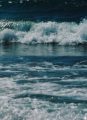 Earth Is Cooling, Sea Levels Not Rising, Scientists Say