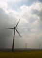 Can the Free Market Support Alternative Energy?