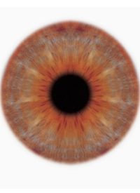 Iris Scan Coming to Airports, Focusing Terror Hunt on Innocent