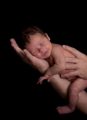 Guttmacher/WHO Study Is Abortion Propaganda, Pro-Life Leader Says