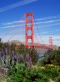 California Still a Mess Under Brown