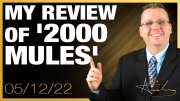 My Review of ‘2000 Mules’ and You Won’t Be Disappointed