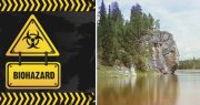Remains of Hundreds of Pre-Born Babies Found in Russian Forest