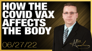 Details on How the Vaccine Affects the Body That the Media Will Never Tell You