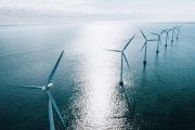 Of Whales and Wind Farms: Greenpeace Silent on Whale Deaths Linked to Ocean Wind Project