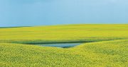 EPA Water Police Coming to Your Farm, Business — and Back Yard