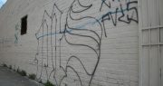 Illegal Immigrant “Children” Include MS-13 Gang Members