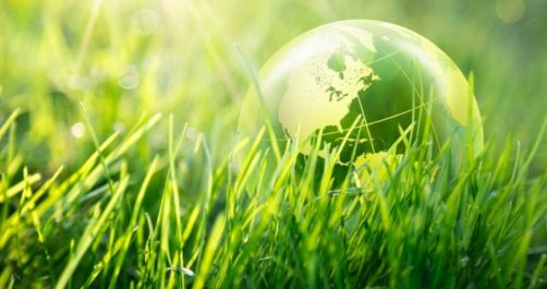 UN Biodiversity Conference Pushes Global Redistribution, Restriction, Regimentation