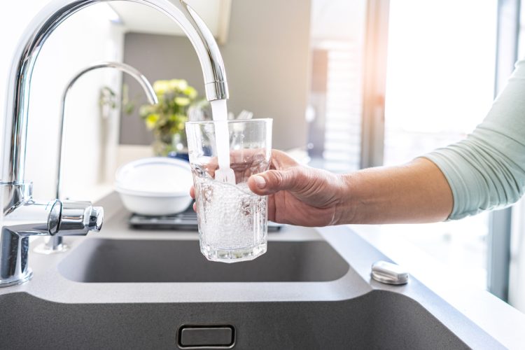 5th Circuit: No Constitutional Right to Clean Water or Truthful Officials
