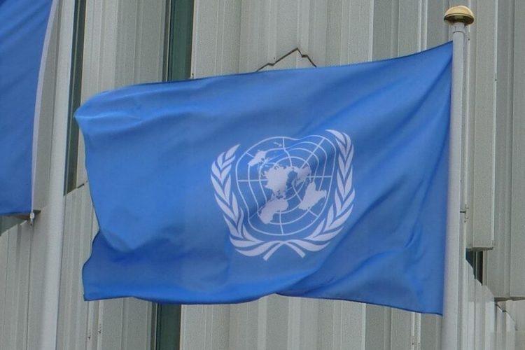 Ambassador Waltz Defends UN Membership in Senate Hearing